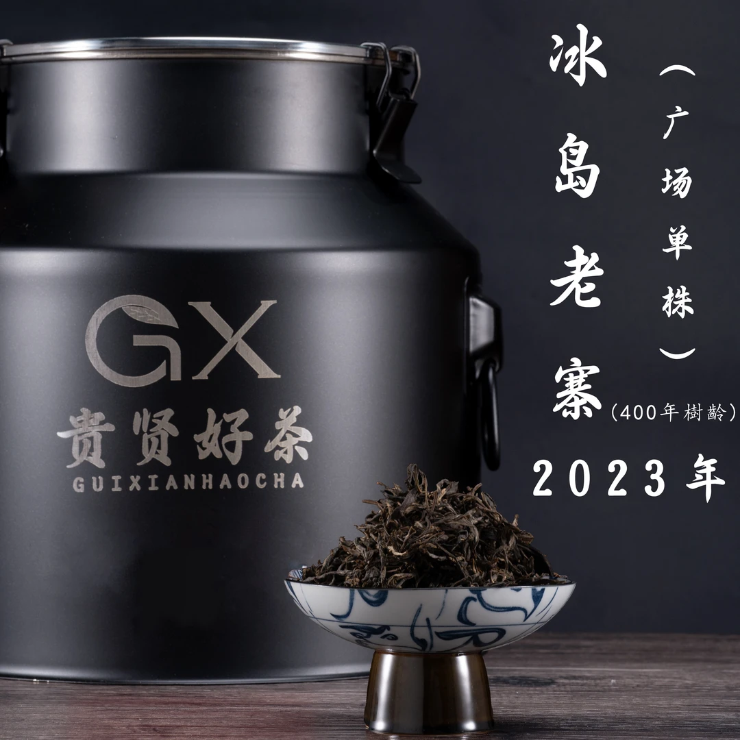 2023年 冰岛老寨广场单株（400年树龄）古树纯料 普洱生茶