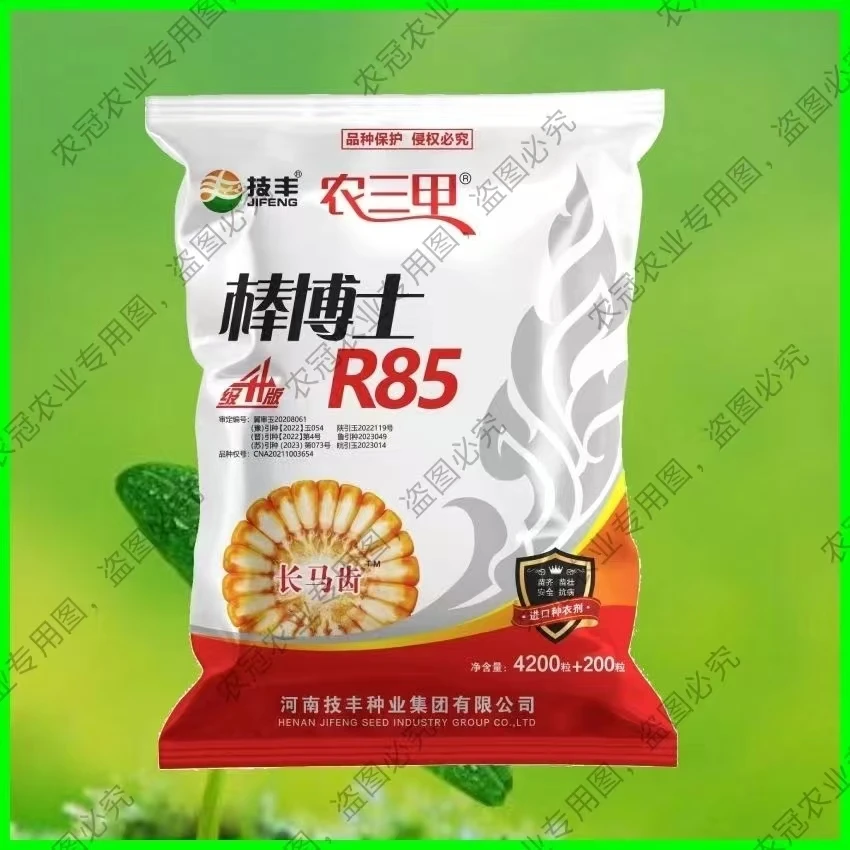棒博士R85 玉米种子 长马齿 红轴大棒 抗病抗倒抗涝抗旱耐高温