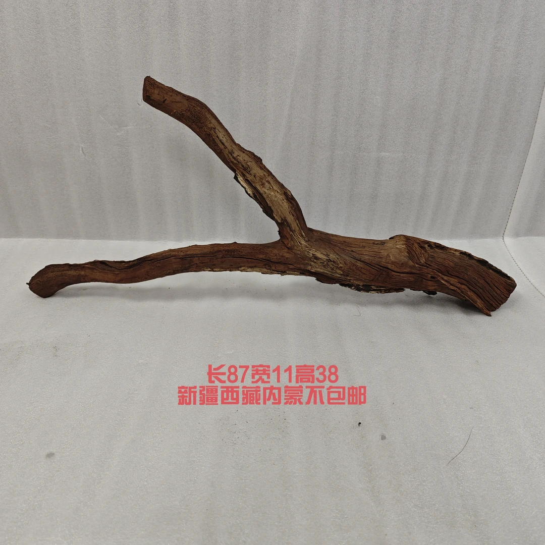 华丽景观沉木鱼缸造景