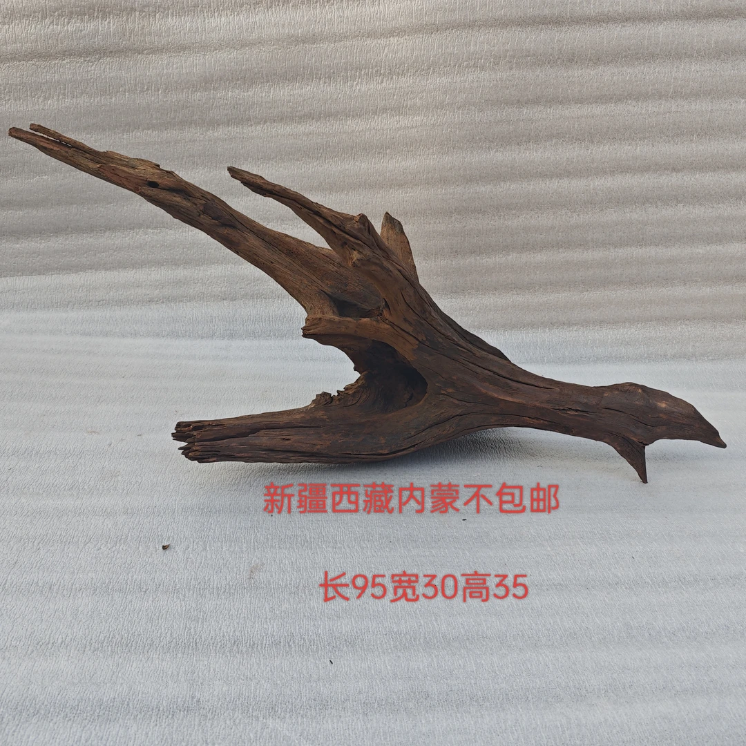 华丽景观沉木鱼缸造景