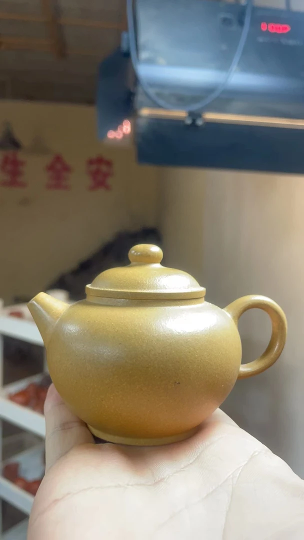 【老梁说壶预售】（黄金段）紫砂壶泡茶利器