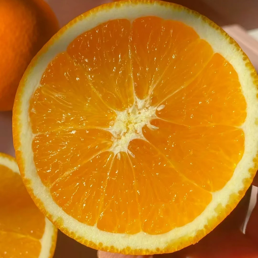 江西赣南脐橙5/10斤装