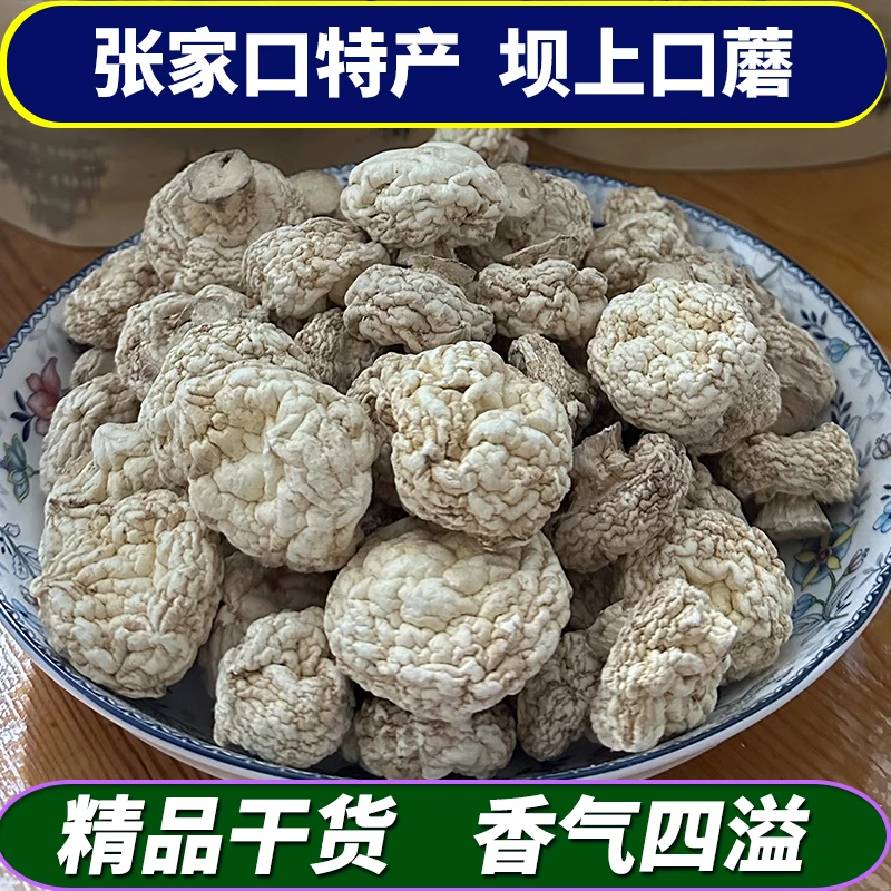 张家口坝上口蘑香菇干货菌类菌菇四孢蘑菇雷窝子黑蘑菇草蘑黑里子