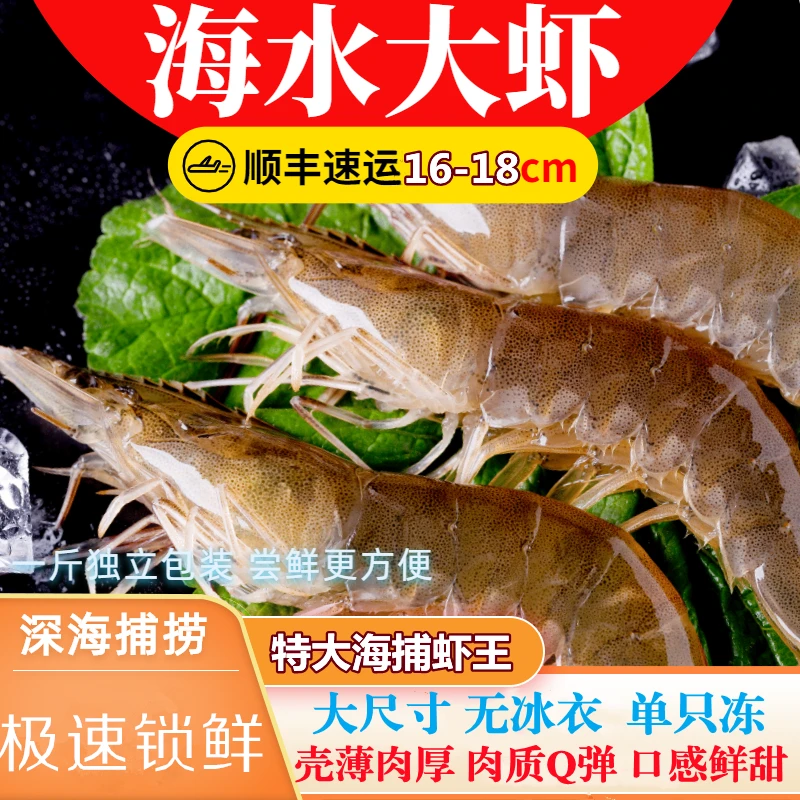 福建天然海水大虾鲜活大虾海鲜水产超大对虾海虾青虾白虾1500g