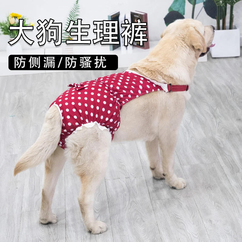 狗狗生理裤拉布拉多金毛中大型犬母狗月经裤宠物防骚扰舒适安全裤