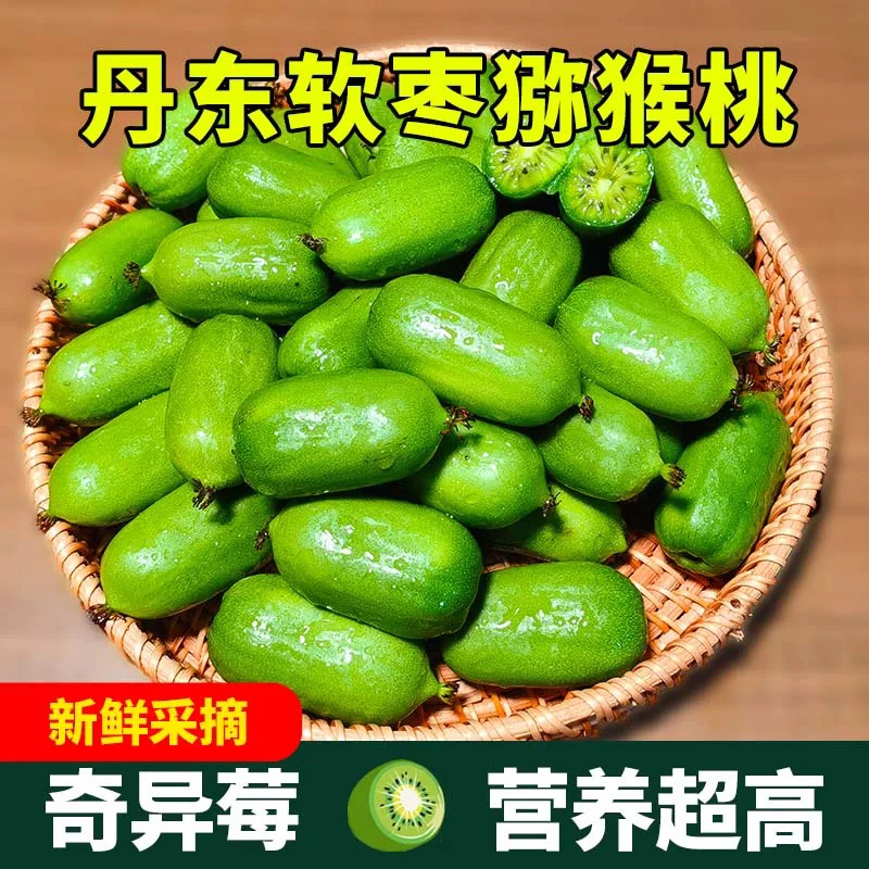 丹东香甜软枣猕猴桃枣子新鲜水果东北软枣子小鲜果奇异莓果猕猴桃