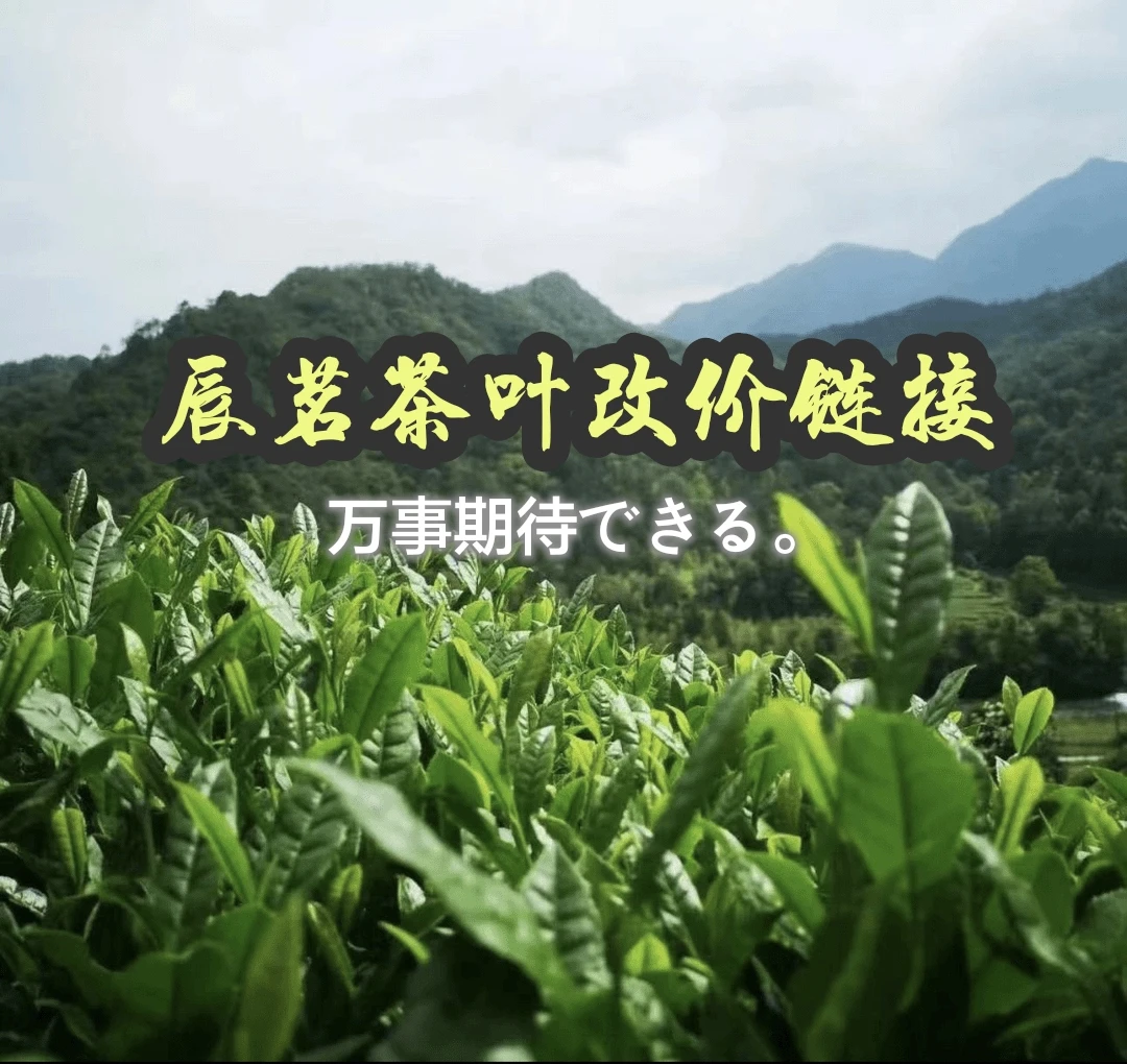 辰茗岩茶改价链接665号（以直播间上品为准）