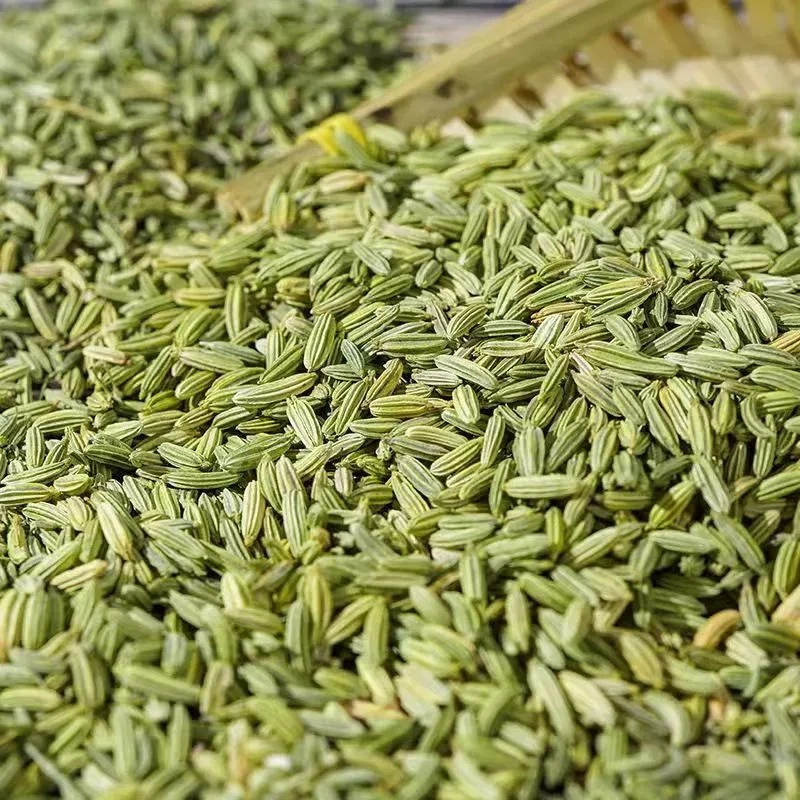 甘肃特产小茴香颗粒香料全国调料卤肉香料地锦草