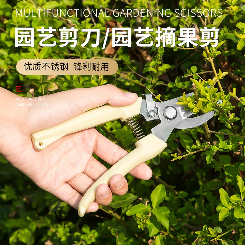 不锈钢树枝修枝剪采摘水果花木剪园林果树花卉枝嫁接园艺剪刀月季