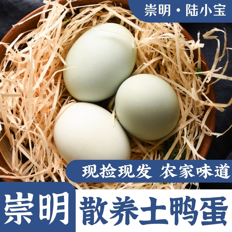 崇明土鸭蛋散养鸭蛋30枚净重3斤半到4斤农产品崇明陆小宝
