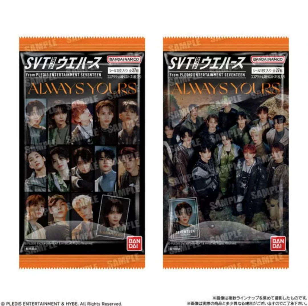 SEVENTEEN ALWAYS YOURS 卡包 画册