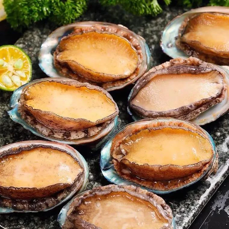 10头鲍一斤装6-7CM带冰10只鲜活冷冻烹饪加热即时生鲜新鲜鲍鱼