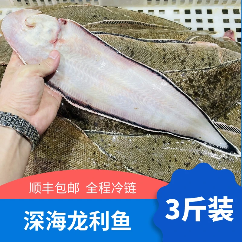 艾秀宸品海鲜 龙利鱼 东山岛海鲜鲜活 非巴沙鱼舌头鱼 1条1斤左右