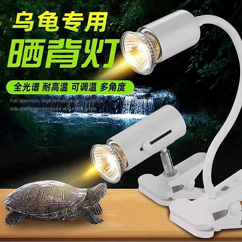 乌龟晒背灯uvb全光谱聚光太阳灯补钙动物宠物保暖加热耐高温射灯