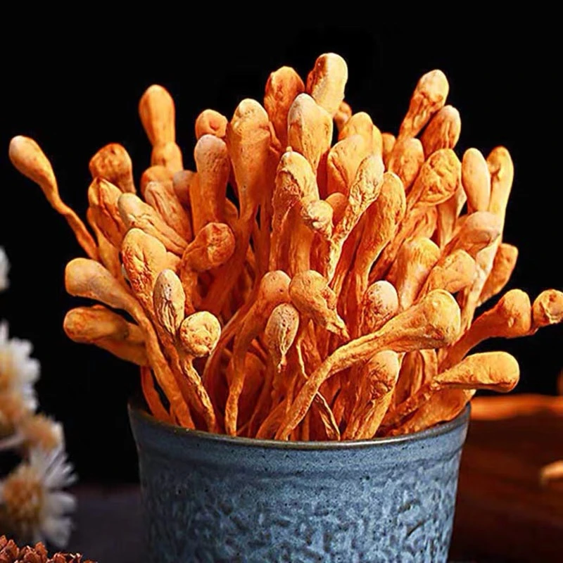 豪媳妇（高山虫草花）煲汤孢子头干货营养煲汤炒菜好吃干净自然风干