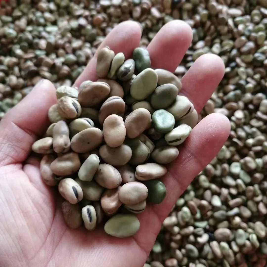 湖北荆州农家特产自种小豌豆/小蚕豆/枯豌豆/干豌豆/5斤包邮