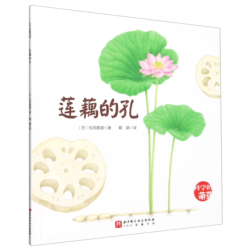 莲藕的孔 新华书店正版