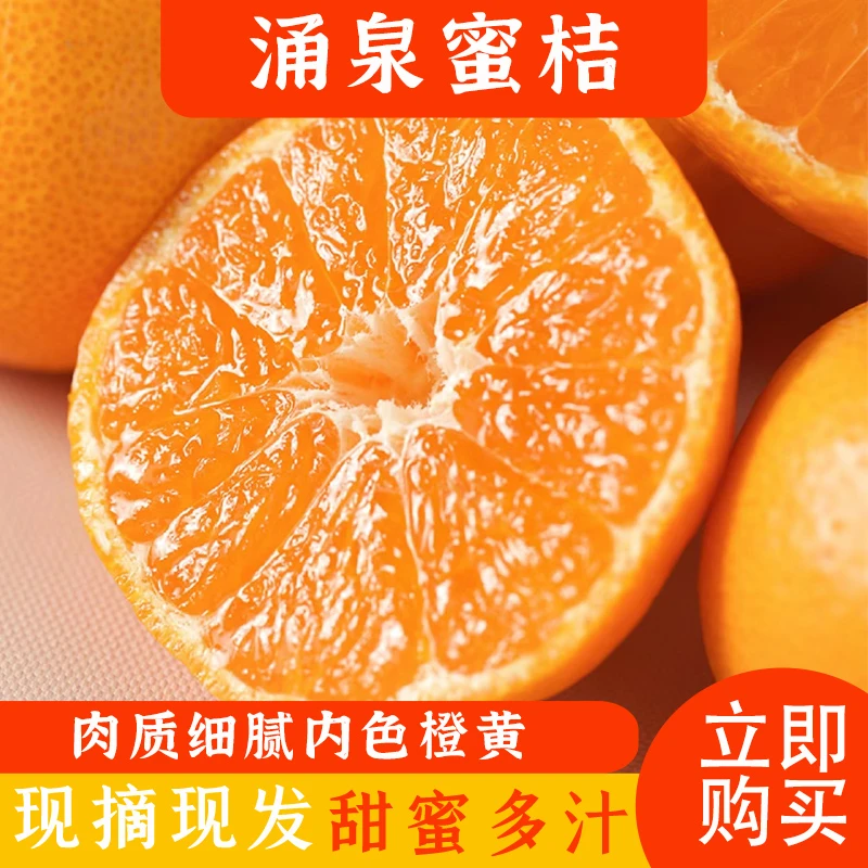 正宗涌泉蜜桔新鲜现摘农场产地直发新鲜爆汁甘甜尝鲜价整箱 5-8斤
