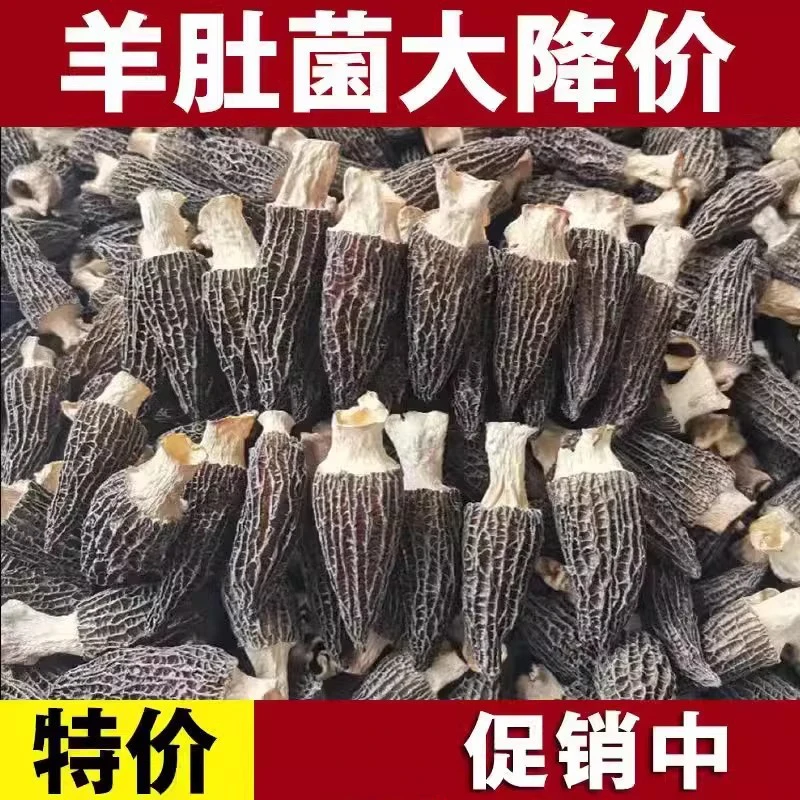 品质羊肚菌干货【50克装】云南特产羊肚菌营养美味菌菇干货5-8cm