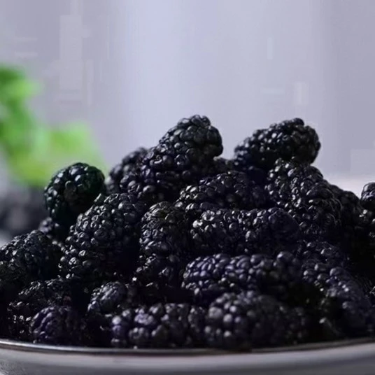 新疆桑葚干头茬货黑桑葚新疆特产泡水干净袋装自然晾晒