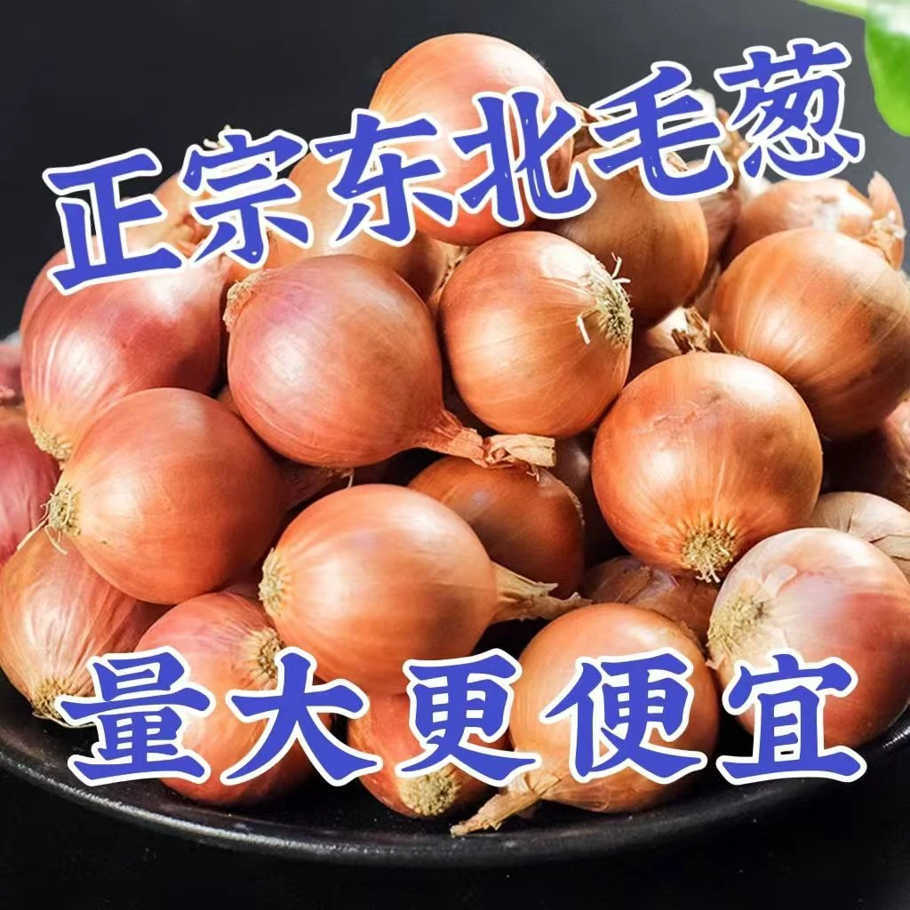 【超低价】东北毛葱鬼子葱农家小毛葱红葱头新鲜大毛葱1/3/5斤包邮