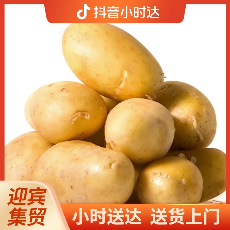 黄皮土豆（每份约450g左右）土豆同城配