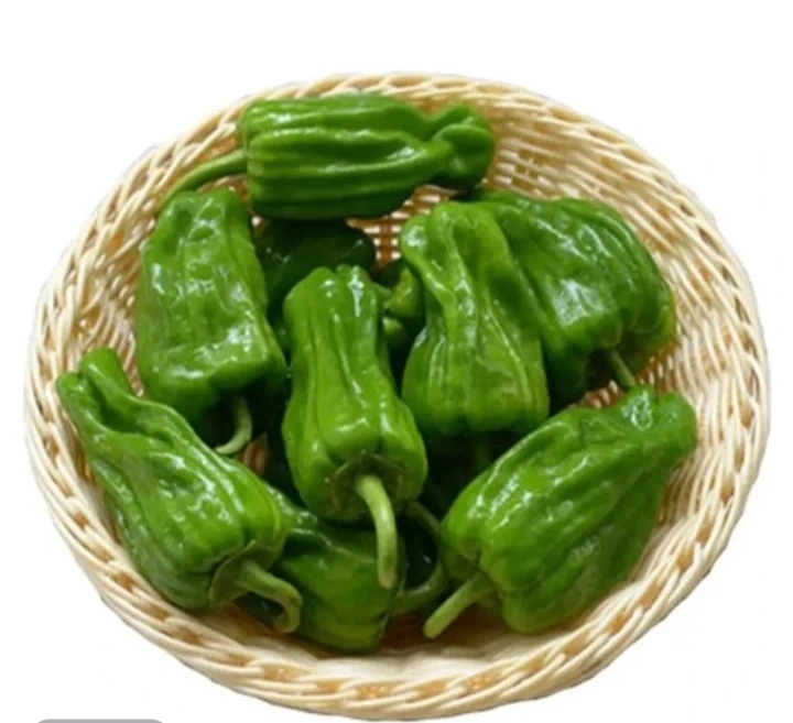 精品薄皮椒(每份约250g装)