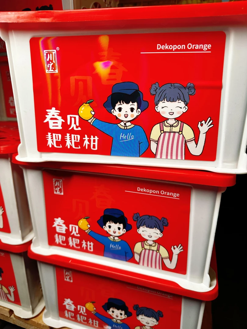 四斤左右川宝春见耙耙柑
