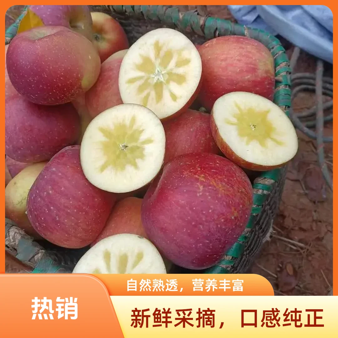 【主播亲摘】云南昭通糖心苹果甜脆多汁产地直发5斤/10斤