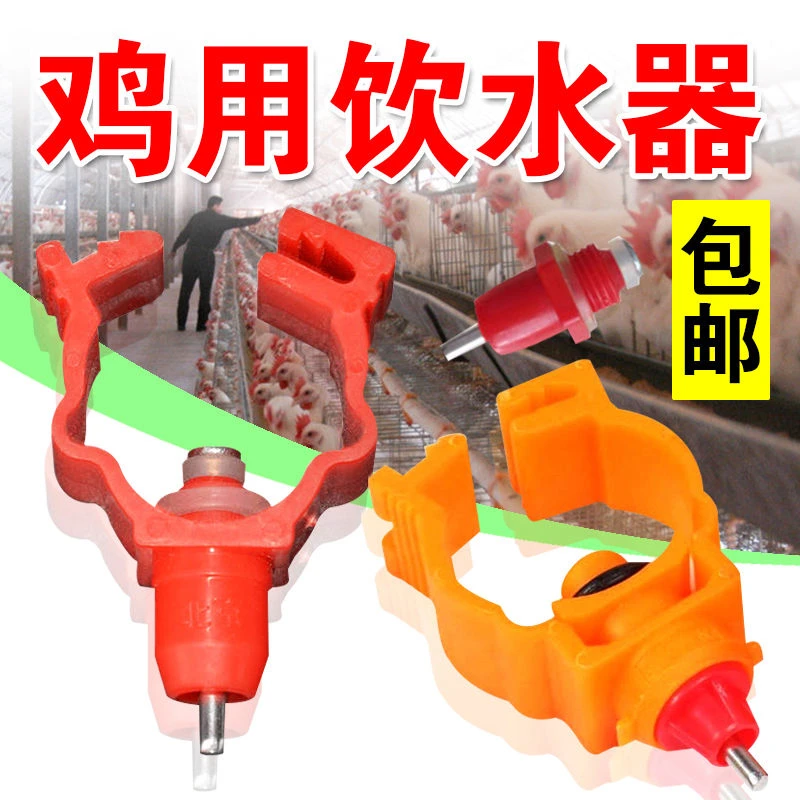 养鸡设备用品 小鸡用自动钢珠乳头饮水器养鸡 鸡用自动饮水器乳头