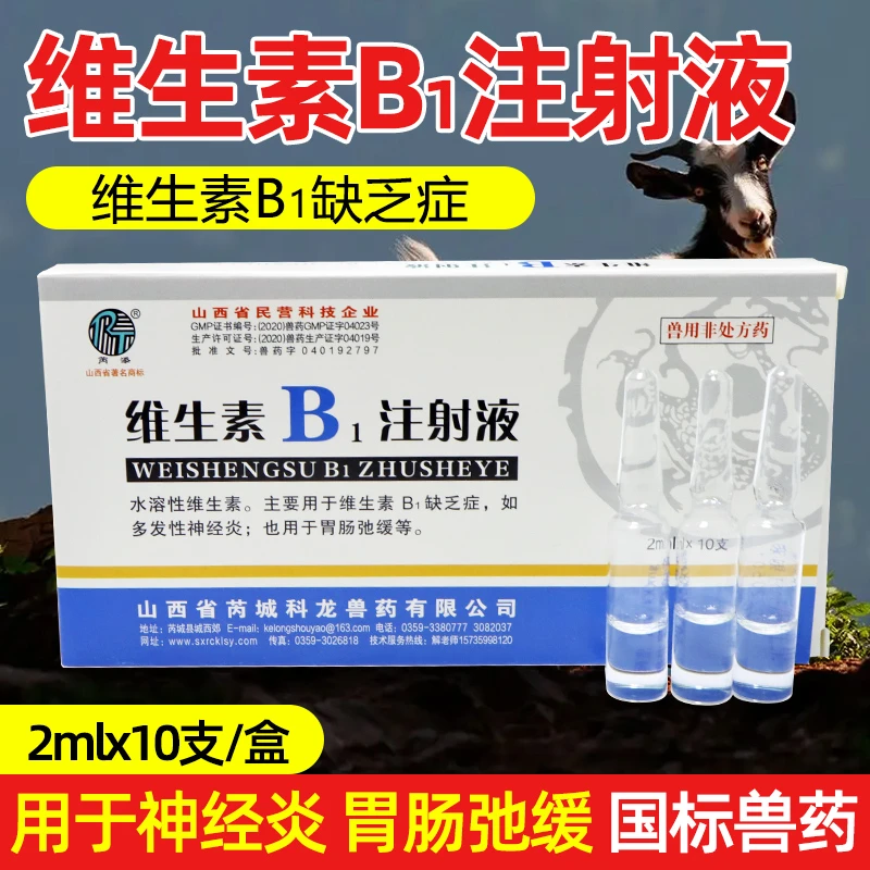 兽用维生素B1注射液用于牛羊马猪犬猫的多发性神经炎胃肠迟缓等