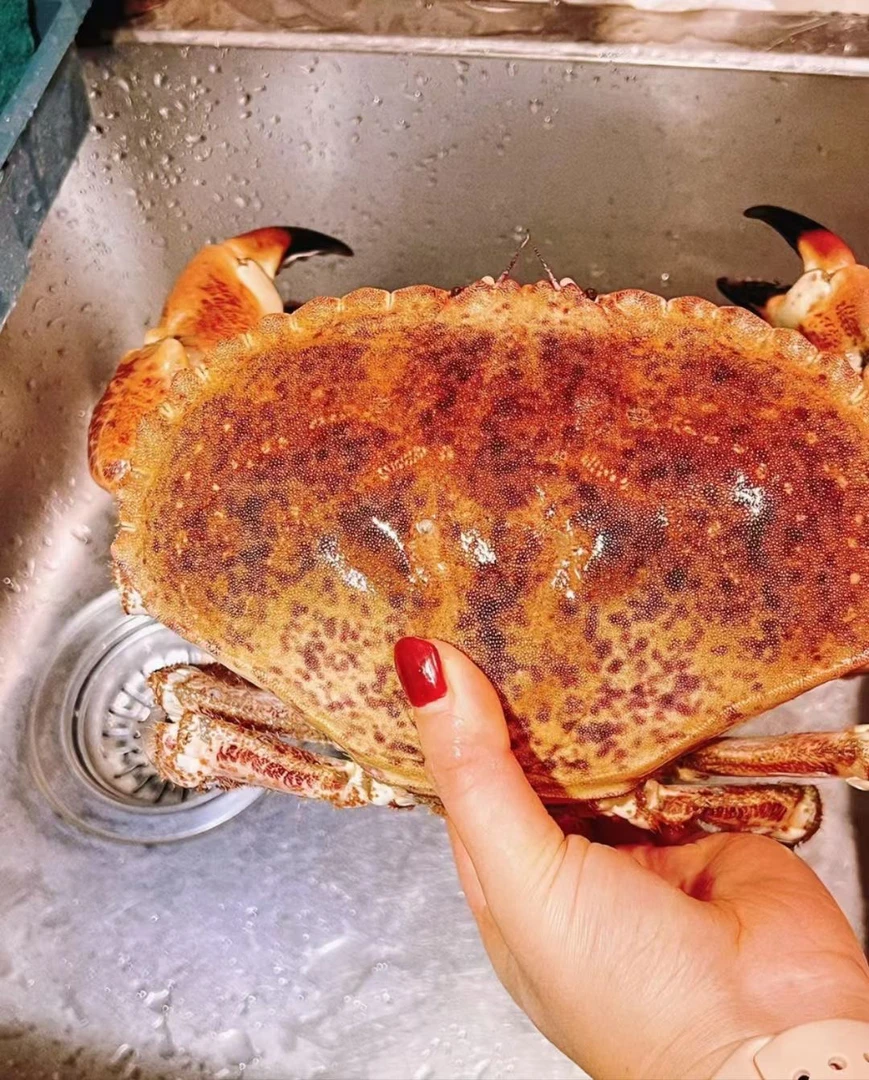 葡萄牙缺氧面包蟹，直播现场上称，以现场斤两为准