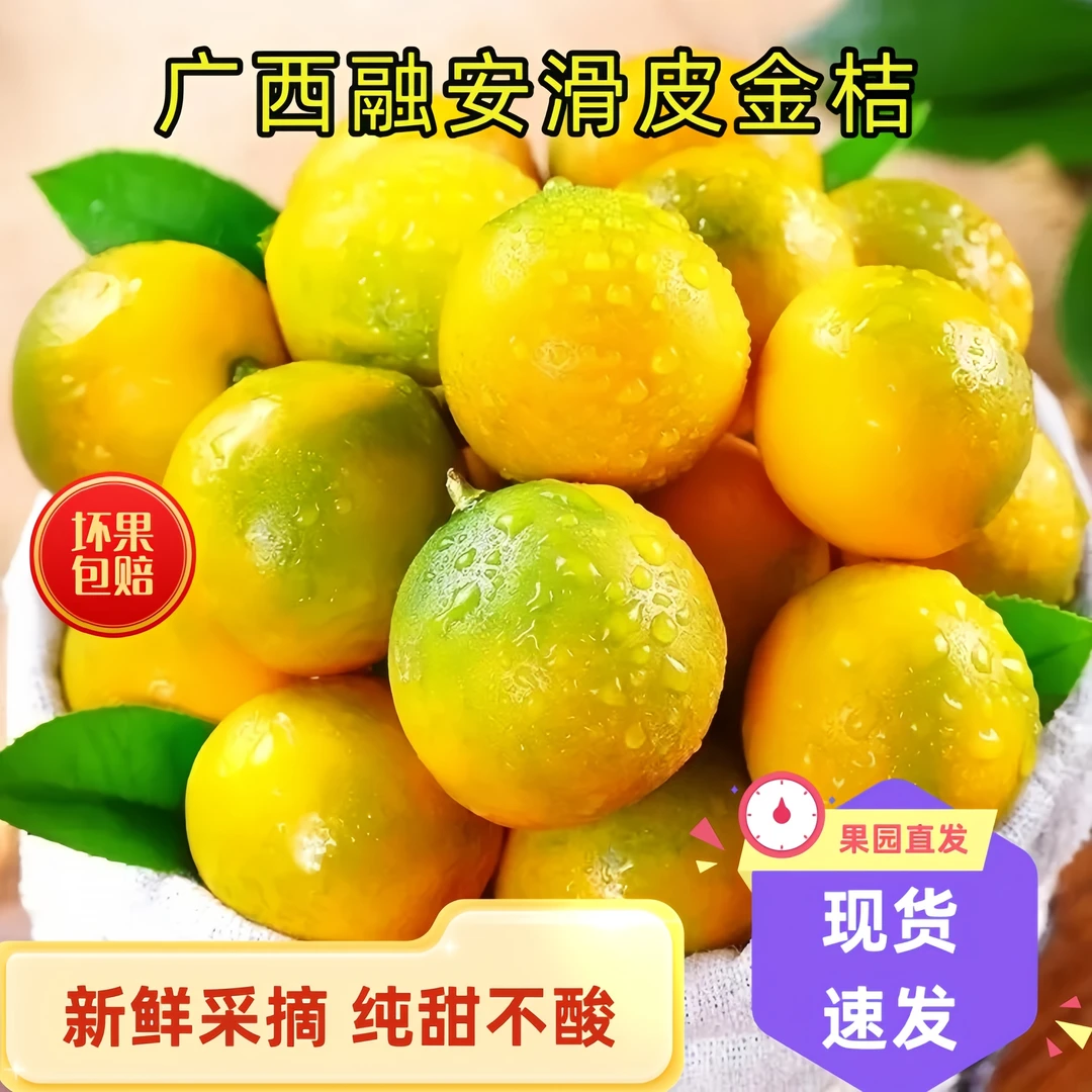 【现摘现发】广西融安滑皮金桔2-4斤 原产地直发 新鲜多汁纯甜不酸