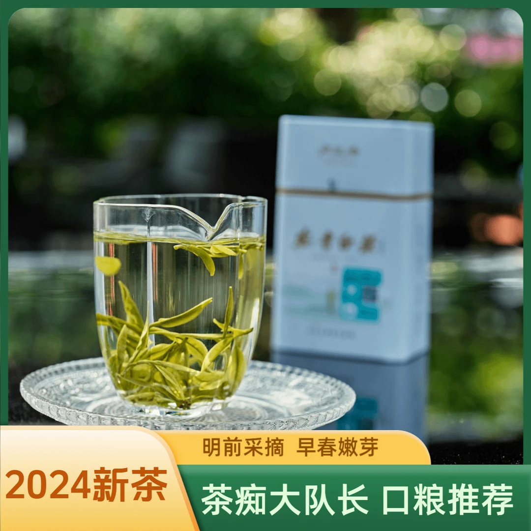 茶痴大队长推荐【自有茶园】2024新茶绿茶正宗安吉白茶核心产区50克