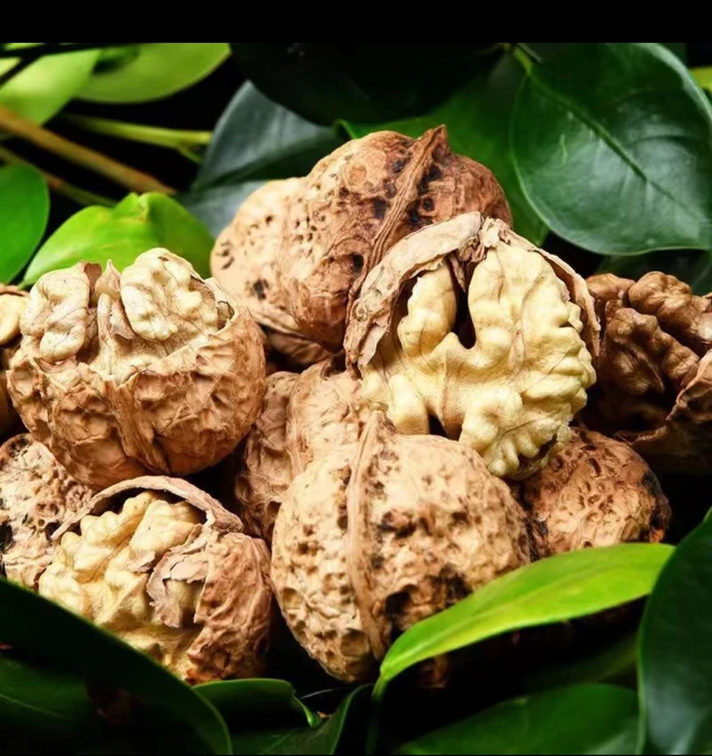 云南百年古树核桃 皮薄 肉香