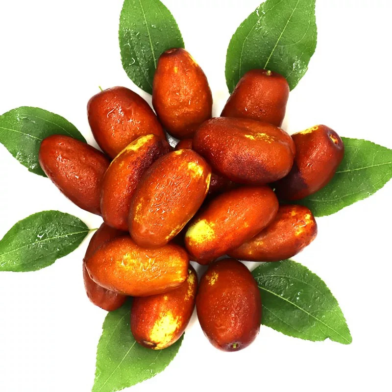 【小花长枣脆】正宗宁夏脆枣新鲜大枣水果应当季脆甜鲜枣包邮到家