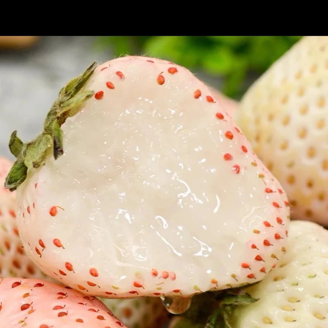 【果然好】粉玉天使白草莓新鲜现摘草莓白雪公主草莓香甜草莓包邮