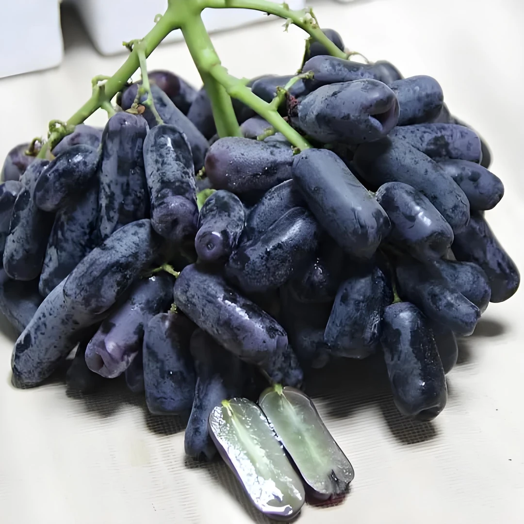 【果然好】蓝宝石葡萄无籽金手指新鲜水果应季水果礼盒包邮
