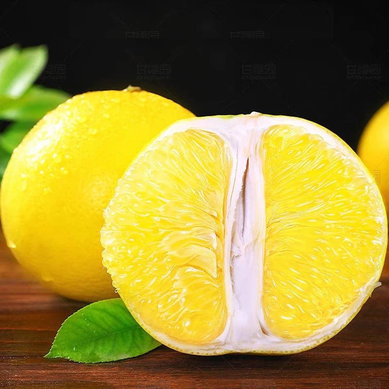 【冰糖葡萄柚】正宗黄金葡萄柚新鲜柚子黄肉蜜柚当季时令水果包邮