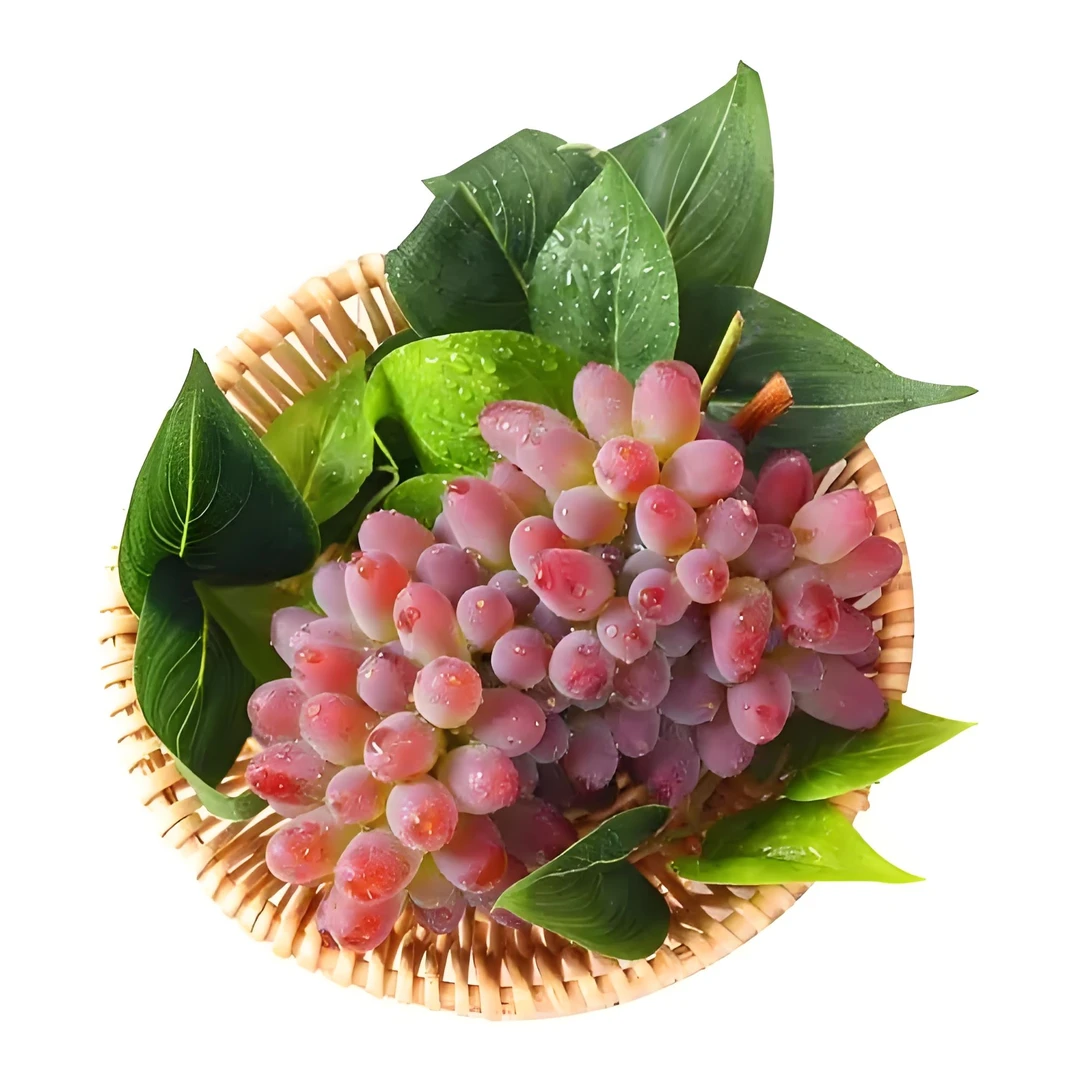 【果然好】茉莉香郁金香无籽葡萄现摘整串发货时令爆汁爆甜坏包赔