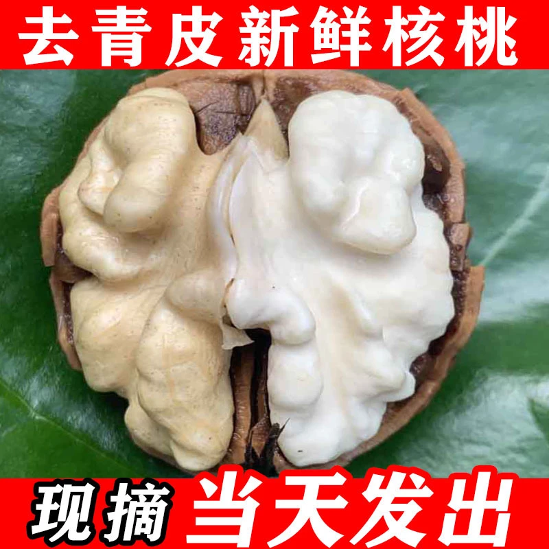 2025年新鲜核桃去青皮湿核桃薄皮孕妇新货原味3斤5斤