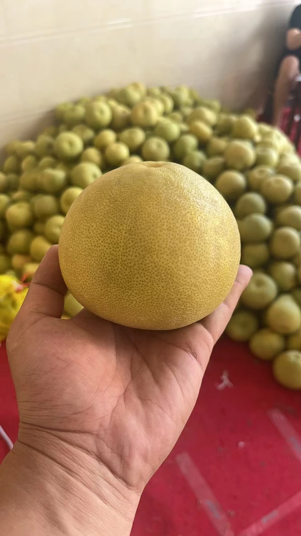 正宗福建度尾文旦柚（小果）红心柚子新鲜当季水果孕妇应季水分充足