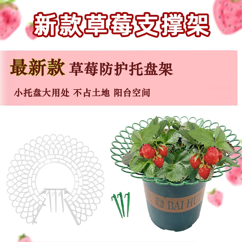 草莓花支架子托盘园艺用品家庭种植架太阳花盆栽苗防腐烂果实支撑
