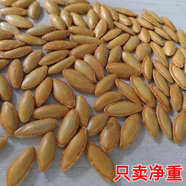 【无干燥剂】新货美人甲型长粒椒盐味美指甲型南瓜子休闲小吃零食