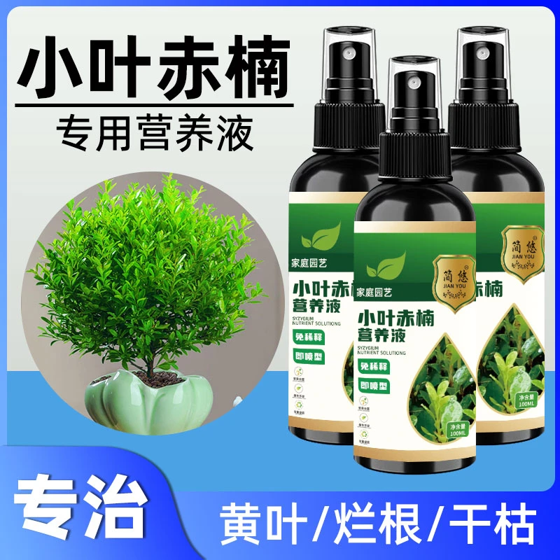小叶赤楠营养液通用型小叶赤楠专用营养液花肥绿植水培植物肥料