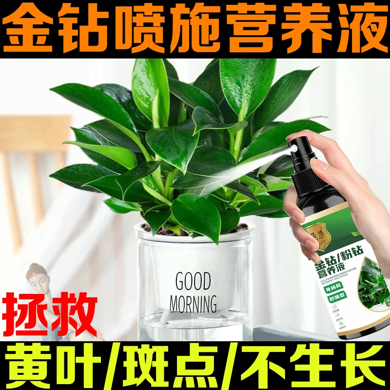 金钻专用营养液红钻观叶植物液体肥室内盆栽绿植专用营养肥料直喷