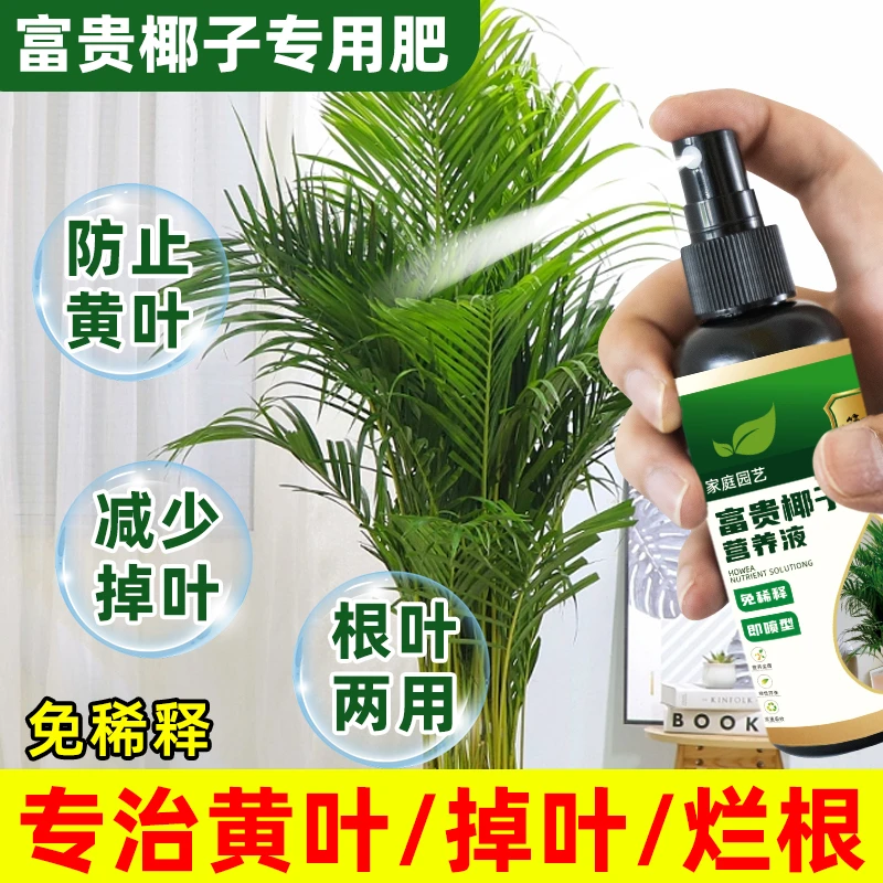 富贵椰子营养液治黄叶干尖枯叶促生长发芽家用免稀释通用型液体肥