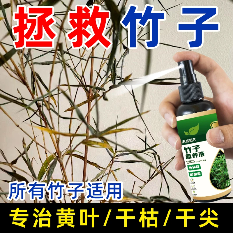 急救】竹子专用营养液治黄叶干枯观音佛肚竹罗汉竹水培米竹簕竹肥