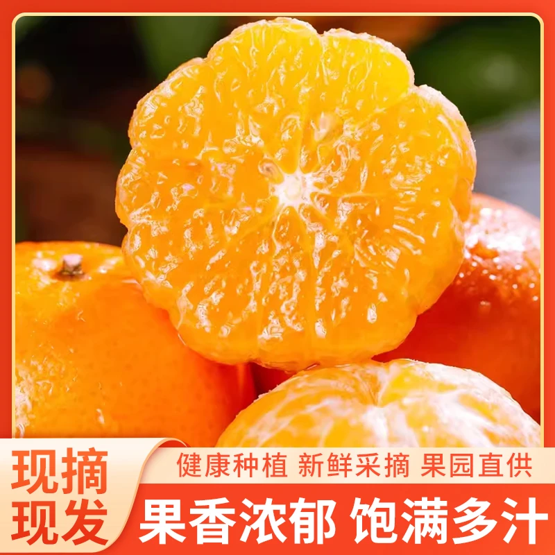 正宗云南高山沃柑新鲜多汁果味香甜榨汁鲜甜美味优质产品产地直发