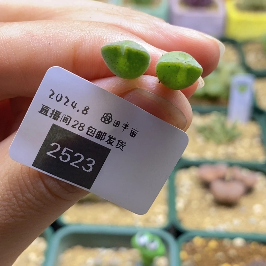 某***书8-3523好看好看好看好看